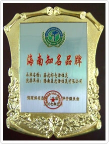海南知名品牌